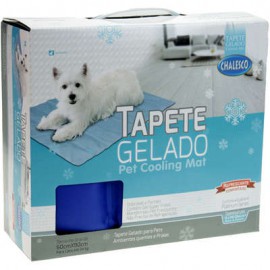 Tapete Gelado Chalesco 60x90cm G