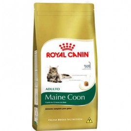 Royal Canin Maine Coon Adulto 4 kg