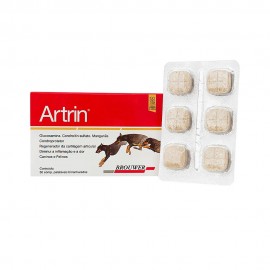 Artrin 30 Comprimidos