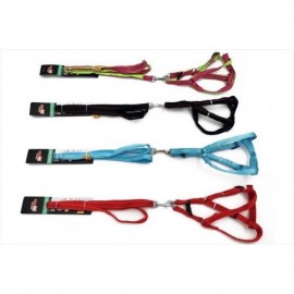 Conjunto Bom Amigo Peitoral + Guia Elegance Cães M