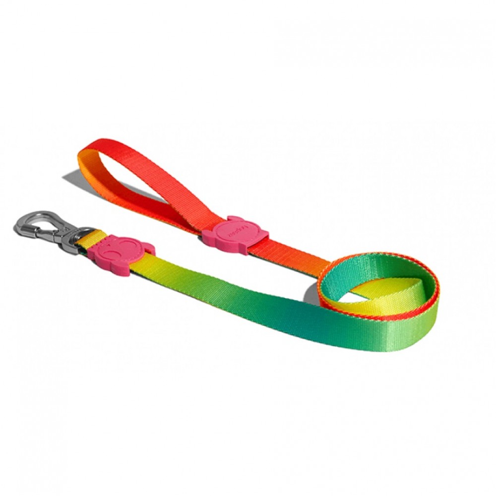 Guia Zee Dog Gradients Citrus Cães G Guia Zee Dog Gradients Citrus Cães G