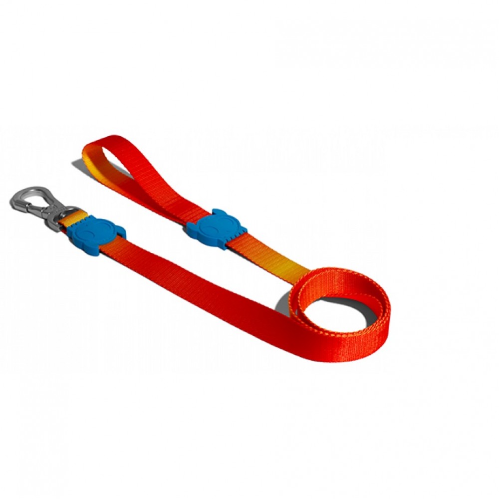 Guia Zee Dog Gradients Solaris Cães P Guia Zee Dog Gradients Solaris Cães P