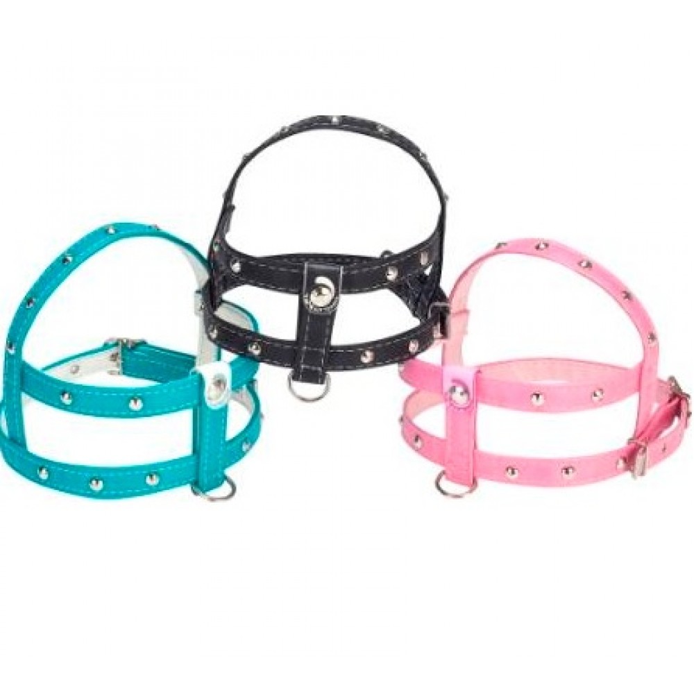 Conjunto Chocolate & Mia Spike Rock 5 Conjunto Chocolate & Mia Spike Rock 5