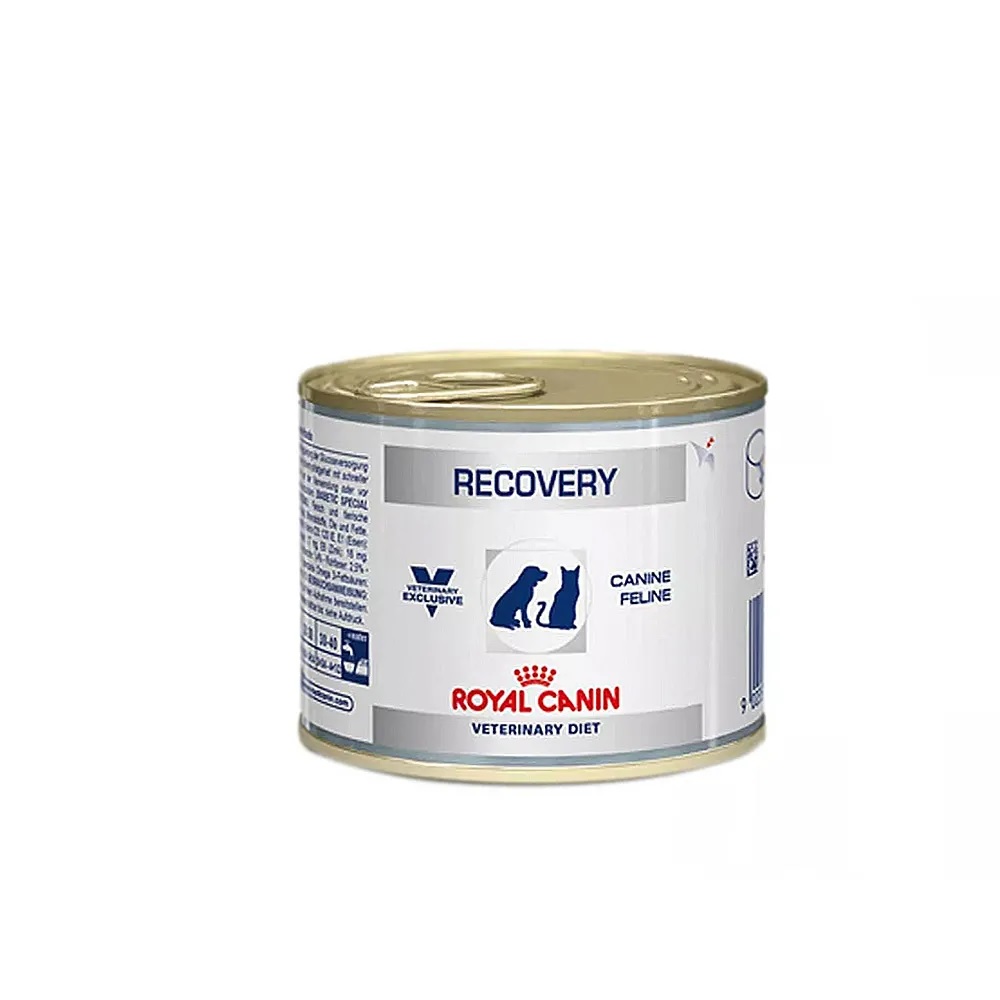Royal Canin Lata Recovery Canine e Feline 195 g Royal Canin Lata Recovery Canine e Feline 195 g